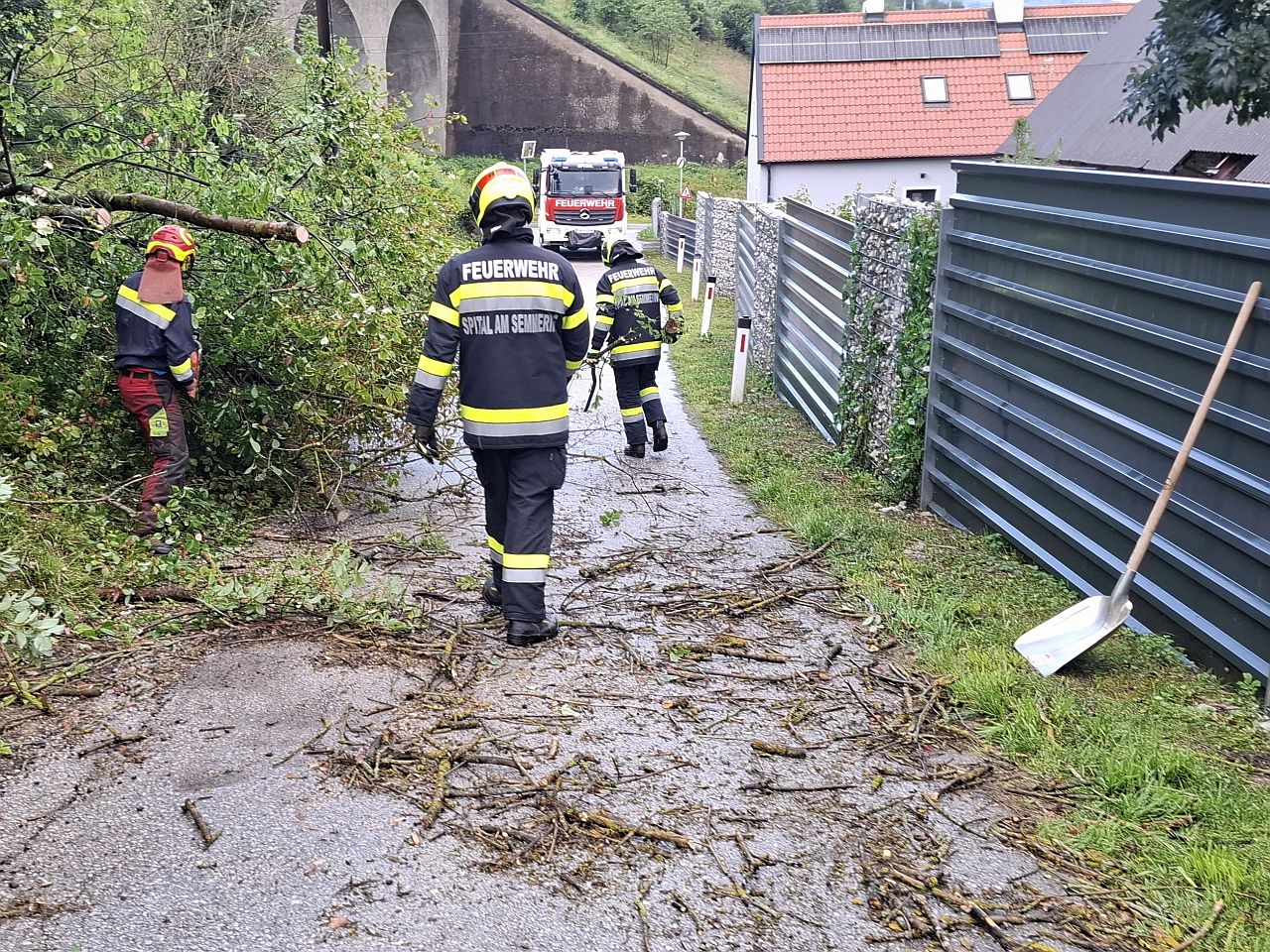 Baum über Straße